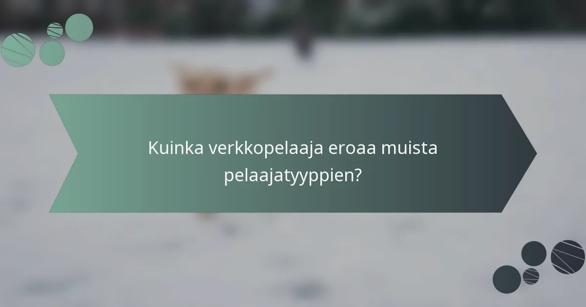 Kuinka verkkopelaaja eroaa muista pelaajatyyppien?
