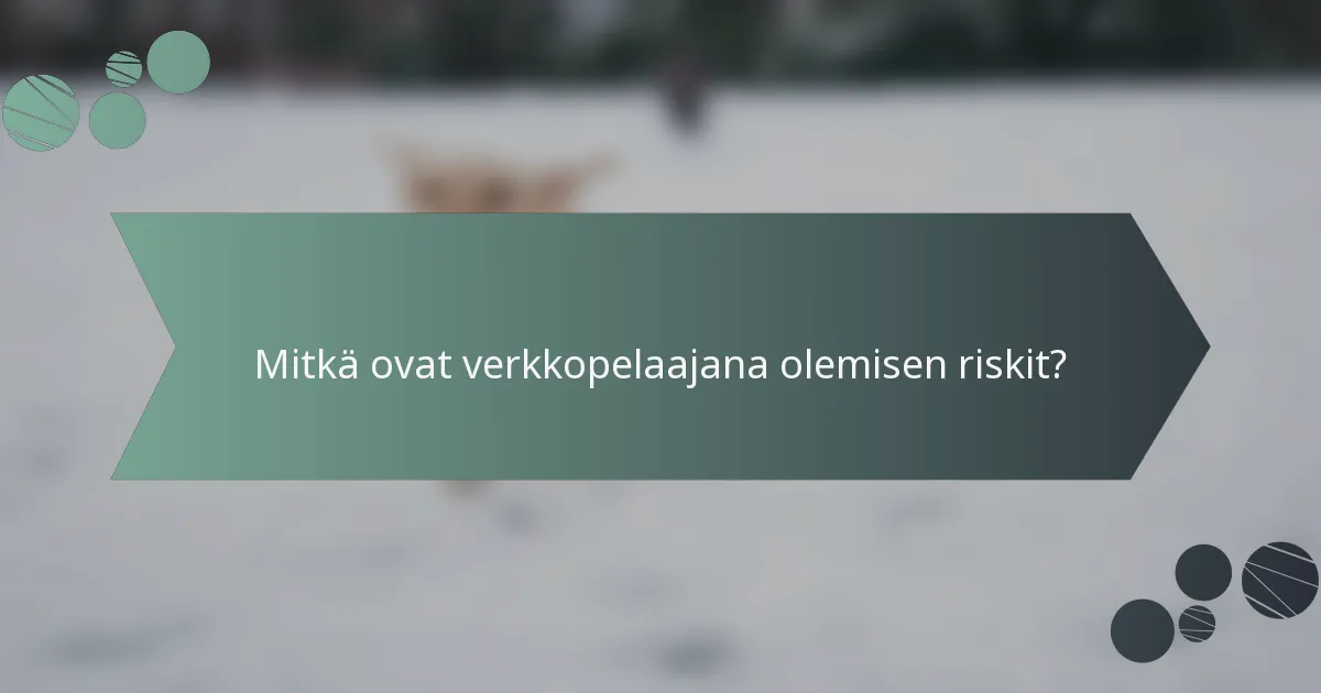 Mitkä ovat verkkopelaajana olemisen riskit?